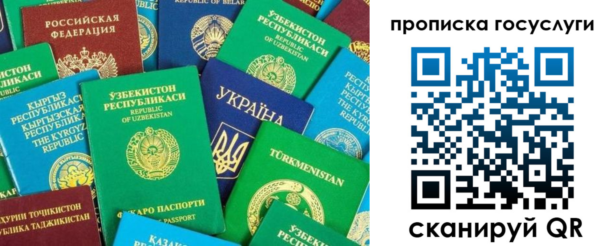временная регистрация для всех в Осе